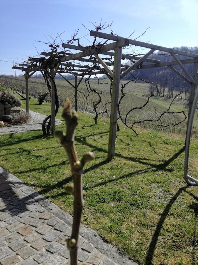 Das Weinberghaus Ratsch an der Weinstrasse Exterior foto