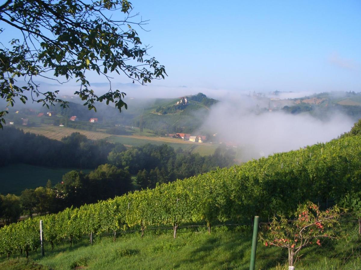 Das Weinberghaus Ratsch an der Weinstrasse Exterior foto
